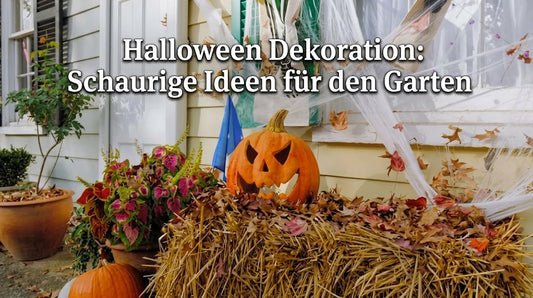 Halloween Dekoration
