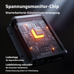 AFERIY DC060 Lichtmaschinen Ladegerät | 580W 48V